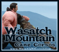 Wasatch Mt Corsos Utah